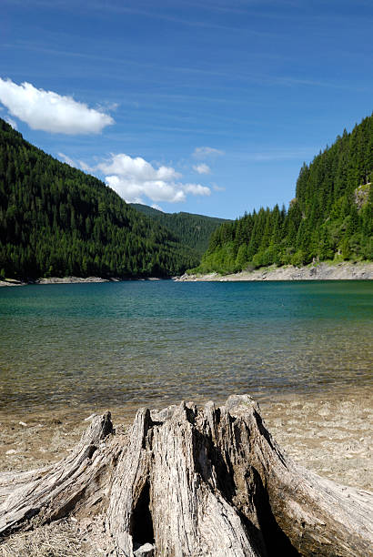 Lago di paneveggio - foto de acervo