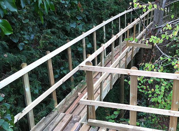 istock Image of wooden tree top walkway / treehouse 486169903