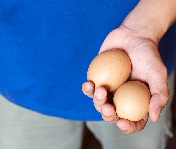 hand holding eggs
