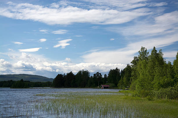 istock Oelsund, Gaevleborgs Laen, Sweden 486172900