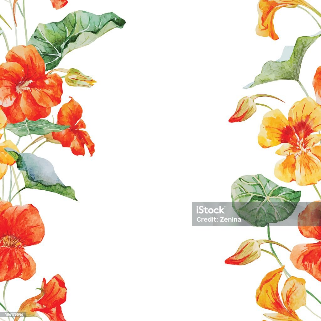 Watercolor nasturtium flower pattern Beautiful vector pattern with nice watercolor nasturtium flowers 2015 stock vector
