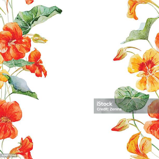 Watercolor Nasturtium Flower Pattern Stock Illustration - Download Image Now - 2015, Abstract, Adulation