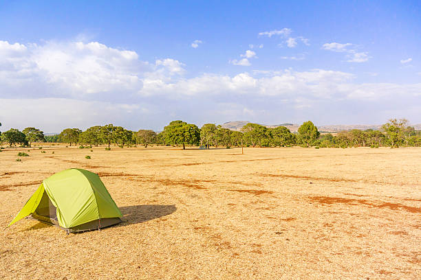 istock Rural landscape in Ethiopia 486176382