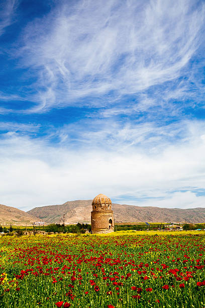 la turquie, de l'anatolie, hasankeyf, zeynel bey mausolée et repose-pieds, hammam - hasankeyf photos et images de collection