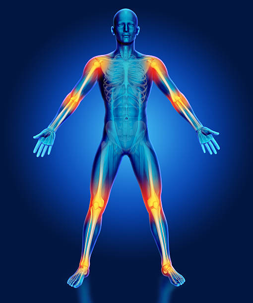 istock 3D male medical figure with joints highlighted 486187930