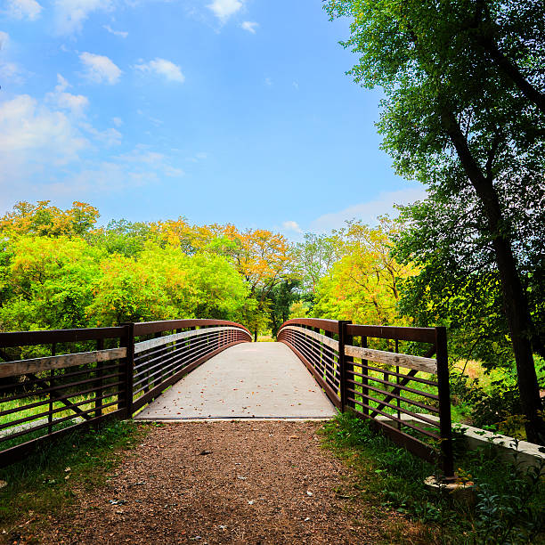istock Woodland Trail - Footbridge 486196342