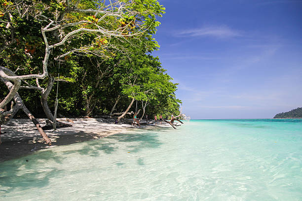 istock Ravee island, Koh Ravee, Satun province Thailand 486196566