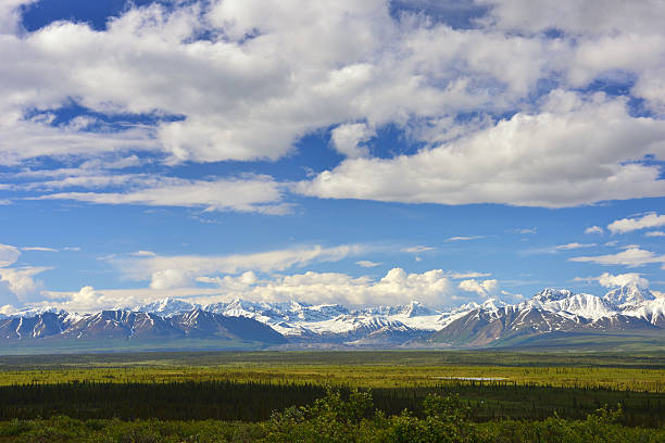 istock Scenery of Alaska along Denali Highway 486199314