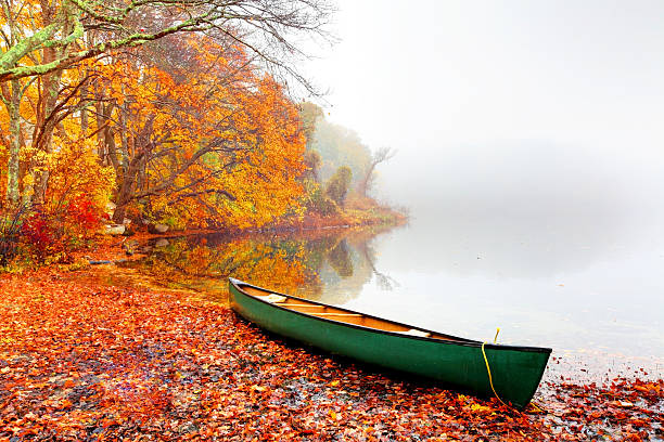 jesień na cape cod - autumn landscape zdjęcia i obrazy z banku zdjęć