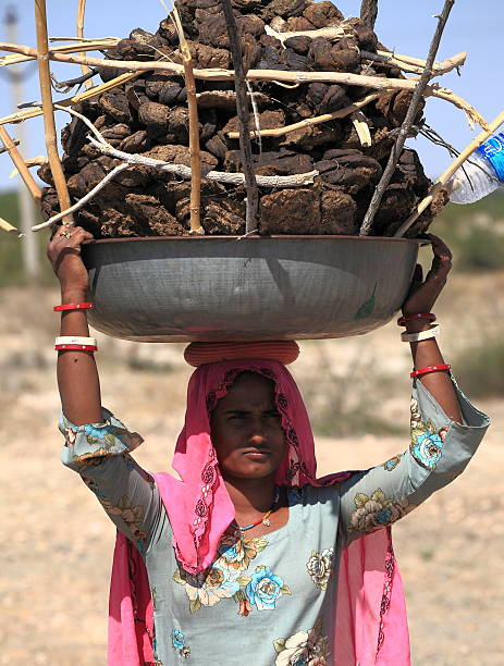 woman carry a basin full of cow dung Rajasthan, India - February 27,2013 : women carry a basin full of cow dung on their head.Cow dung will be caked, dried and used as cooking fuel for villagers in India. cow dung stock pictures, royalty-free photos & images