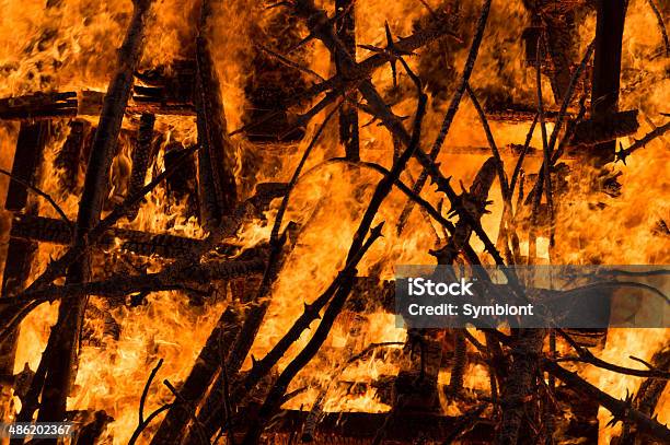 Fogo Incêndio - Fotografias de stock e mais imagens de Abeto - Abeto, Acender, Acidente Natural