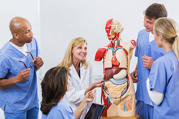 istock Instructor and students in medical school anatomy class 486202654