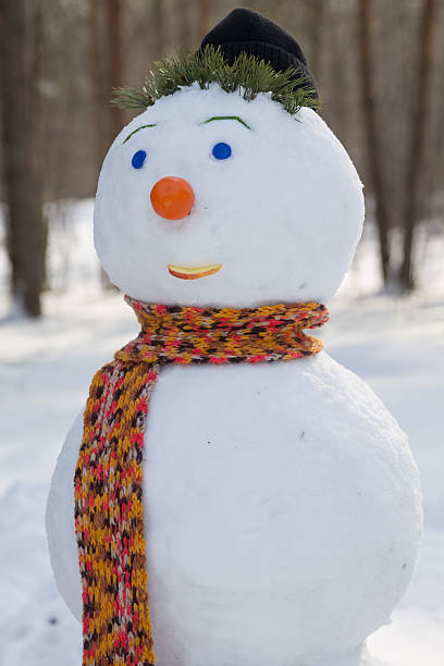 istock snowman orange scarf closeup 486202729