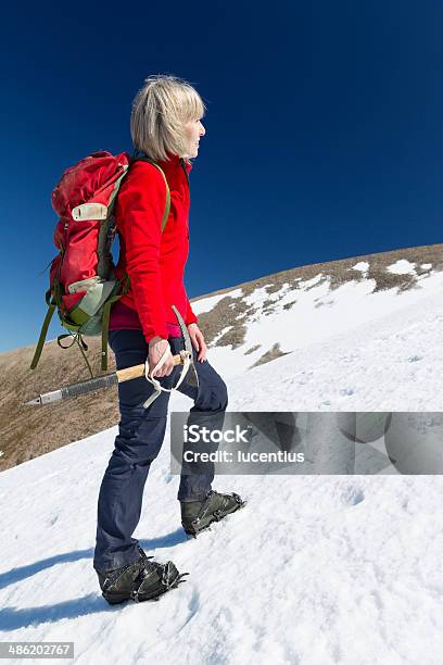 Photo libre de droit de Lescalade Hivernale banque d'images et plus d'images libres de droit de Adulte - Adulte, Alpinisme, Aspiration