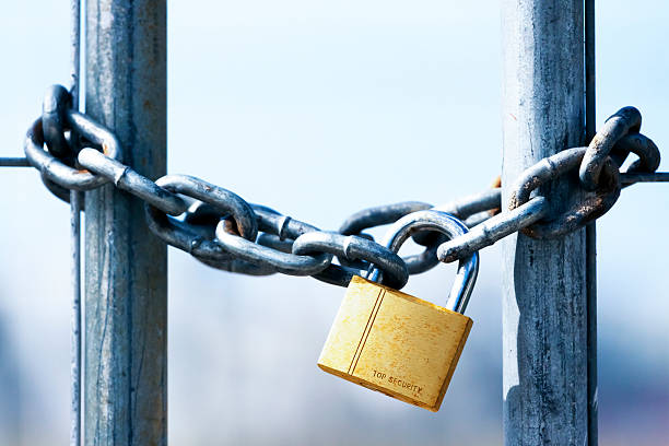 Golden Padlock and chain with copy space Closeup golden padlock and metal chain hanging on gate against light background, full frame horizontal composition with copy space fungus network stock pictures, royalty-free photos & images