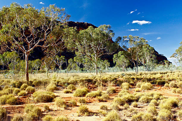 Bungle Bungles (Purnululu) - Purnululu National Park