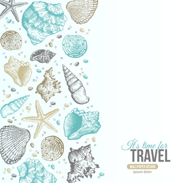 summer sea shells postcard design. - sarmal deniz kabuğu illüstrasyonlar stock illustrations