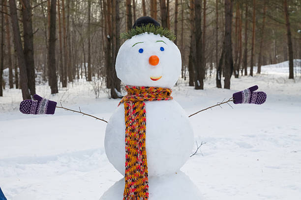 istock good snowman in  woods 486204485