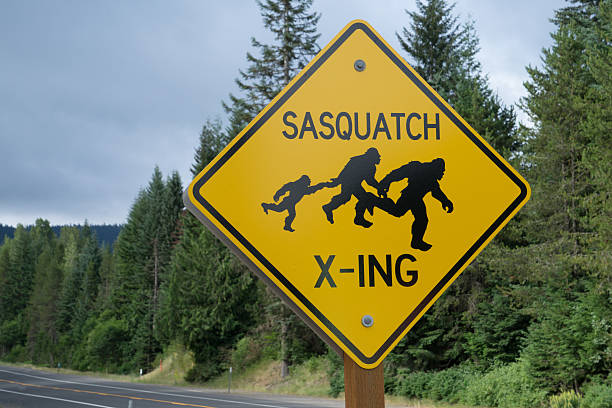 Sasquatch Crossing Sasquatch crossing sign in the Oregon wilderness giant fictional character photos stock pictures, royalty-free photos & images