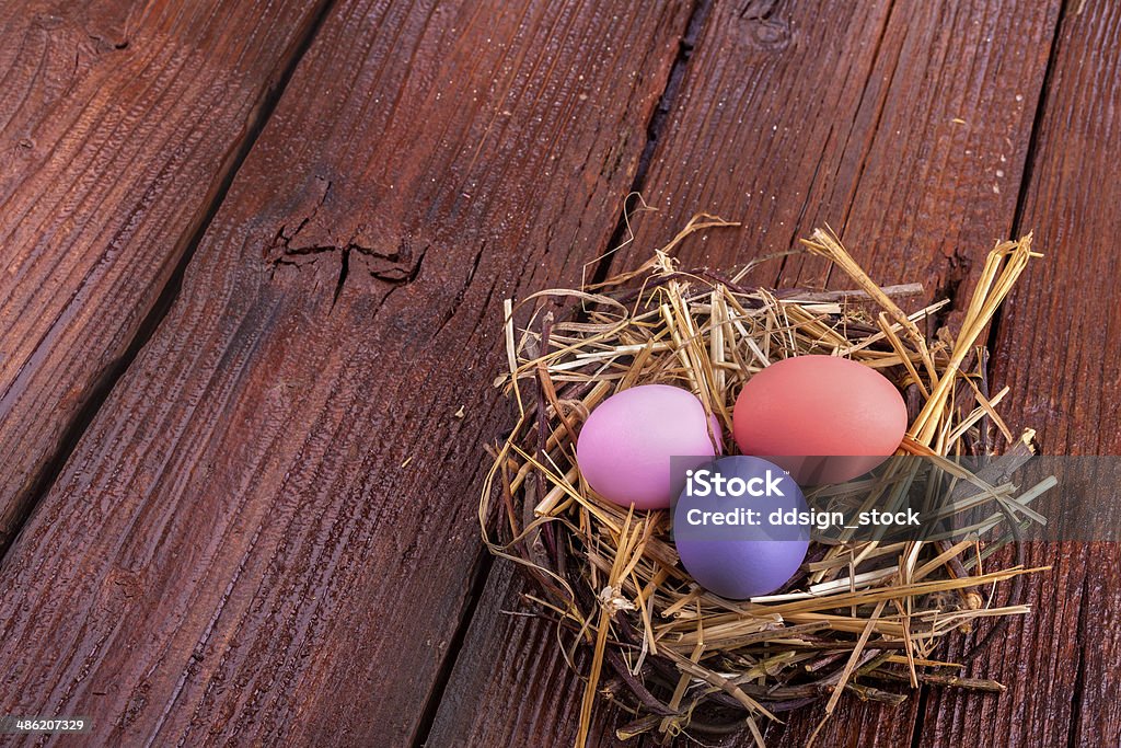 Easter eggs Colorful Easter eggs in the nest on the wooden table Animal Nest Stock Photo