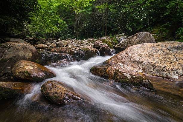 blue ridge mountain stream 7 - blue ridge mountains stream forest waterfall - fotografias e filmes do acervo