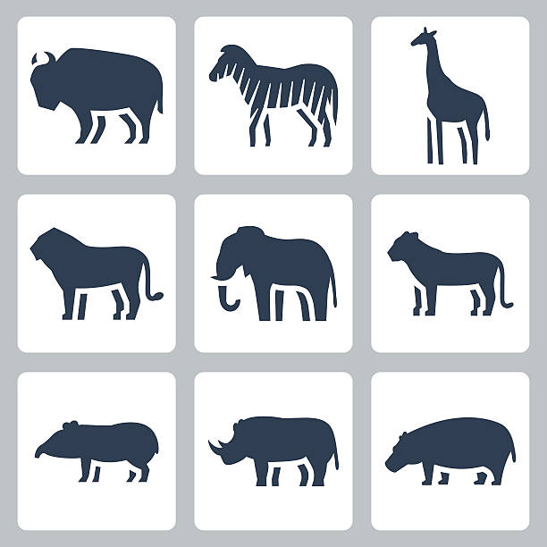 벡터 동물을 열대 존입니다 아이콘 세트 - zoo animal safari giraffe stock illustrations