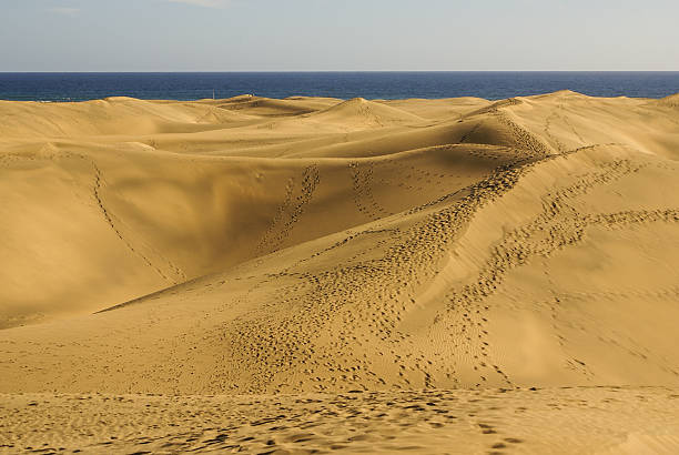 istock The Dunes of Maspalomas at Gran Canaria 486236453