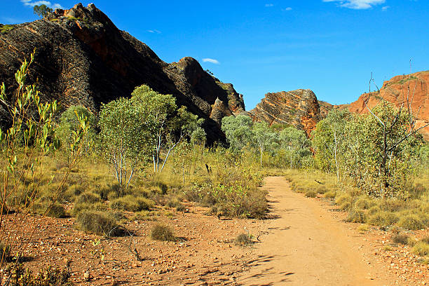 istock The path in Bungle Bungles (Purnululu) - Purnululu National Park 486237951