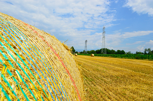 Piles of wheat on farm field, wheat wrapped