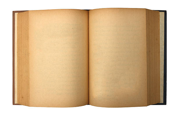 istock Old book with blank yellow stained pages 486242991