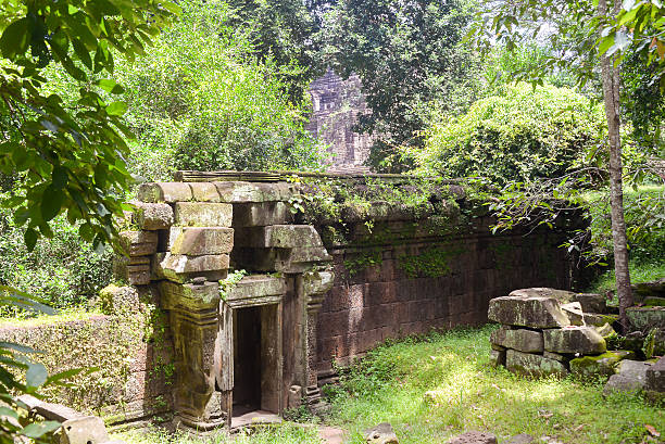 istock old stone city wall in the forest 486247902