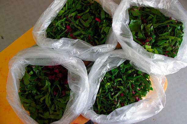 istock packaged greens in bags 486247966