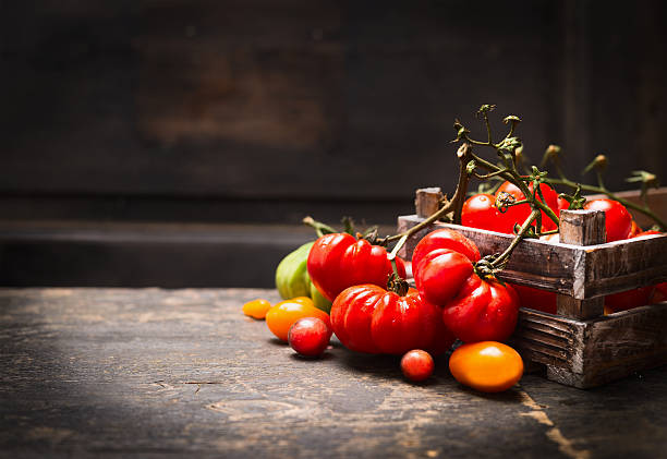 jardin bio frais tomates boîte vintage sur fond en bois. - vegetable green close up agriculture photos et images de collection