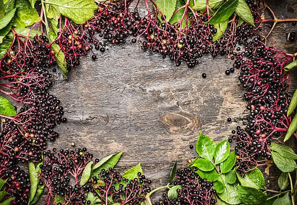 Elderberries with leaves on rustic wooden background, top view,frame