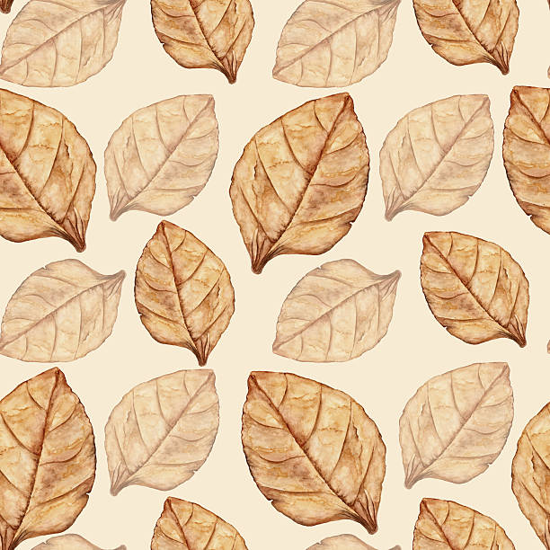 nahtlose muster mit tabak leaf - tabakpflanze stock-grafiken, -clipart, -cartoons und -symbole