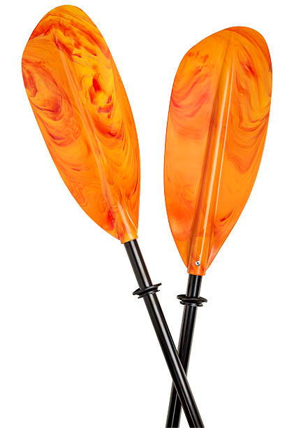colorful kayak paddle stock photo