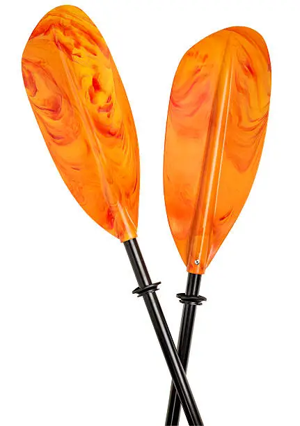 Photo of colorful kayak paddle