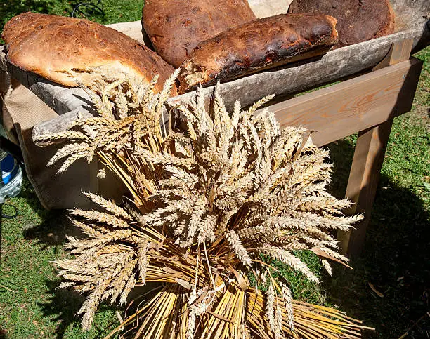 Photo of Sheaves of wheat and the baked country bread.