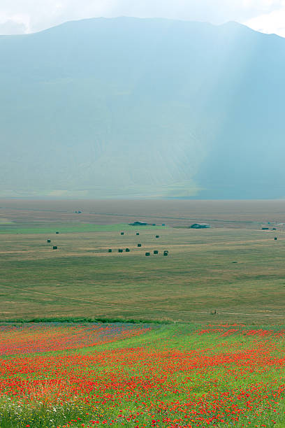 piano grande di castelluccio (italie), village sur une colline verdoyante - natural landmark outdoors vertical saturated color photos et images de collection