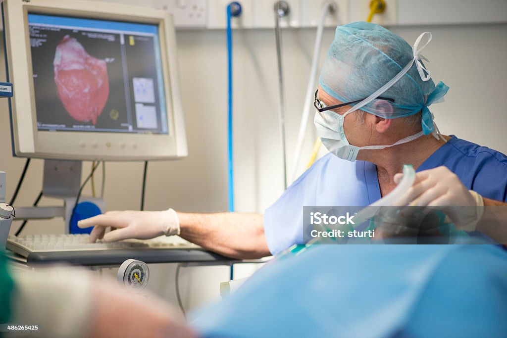 Anesthetist Electrocardiography Stock Photo