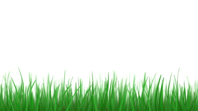 2,938 Cartoon Grass Stock Videos and Royalty-Free Footage - iStock | Cartoon  grass texture, Cartoon grass color, Cartoon grass background