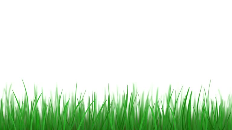 2,938 Cartoon Grass Stock Videos and Royalty-Free Footage - iStock | Cartoon grass texture, Cartoon grass color, Cartoon grass background 2,938 Cartoon Grass Stock Videos and Royalty-Free Footage - iStock | Cartoon grass texture, Cartoon grass color, Cartoon grass background