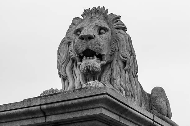istock Close up lion statue at  the Chain bridge, Budapest, Hungary 486267550