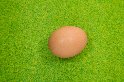 eggs on green grass.