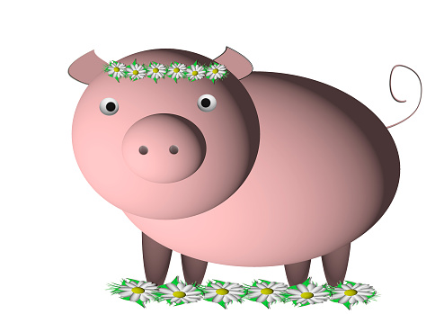 Pink pig on a white background