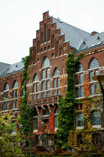 Obsolete Building of University Library Wrapped Up Plants on Cloudy Sky background Outdoors. Lund, Sweden