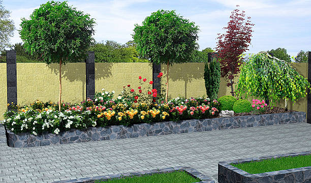 istock Landscaping roses and plant groupings, 3D render 486278484