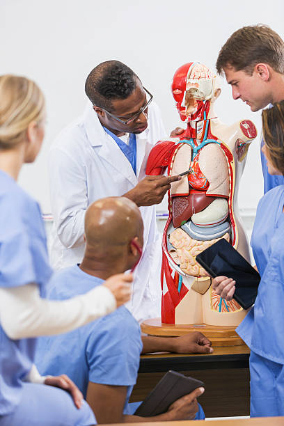 istock Instructor and students in medical school anatomy class 486279932