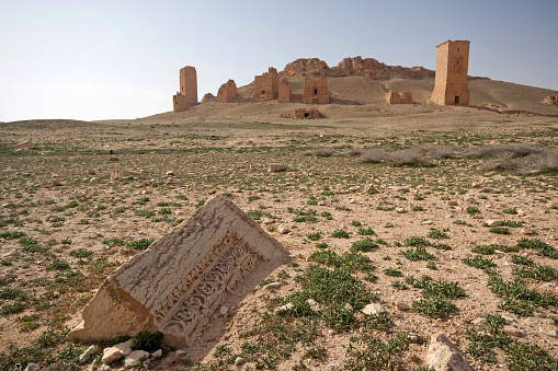 Ruins of ancient city of Palmyra - Syria (Before Civil War)