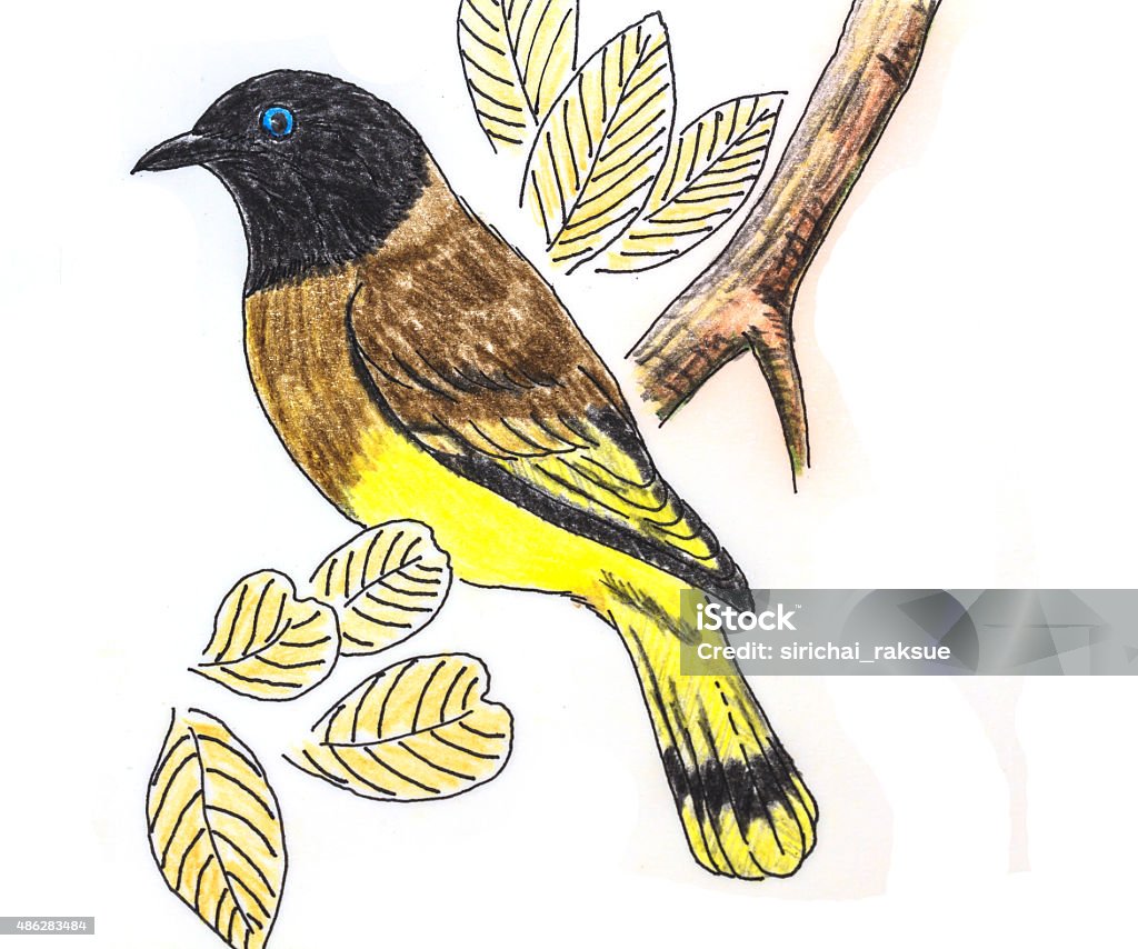 Blackheaded Bulbul Bird Drawing Stock Illustration - Download Image Now -  2015, Abstract, Animal - iStock